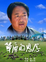 久久精品亚洲视频